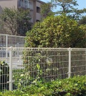 C09370F4-0833-48F3-80E7-9F6F4828B31C