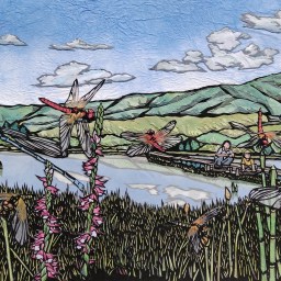 ハッチョウトンボ　伊那市新山トンボの楽園