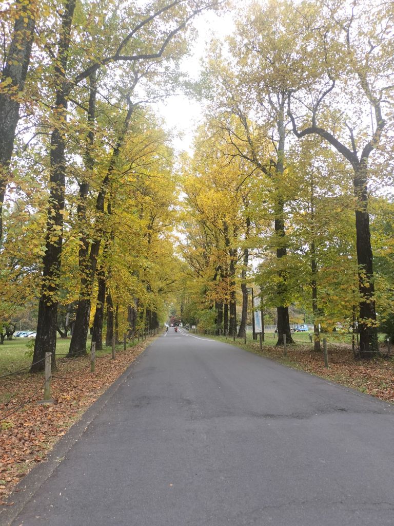 img202511051214388951130542201409116