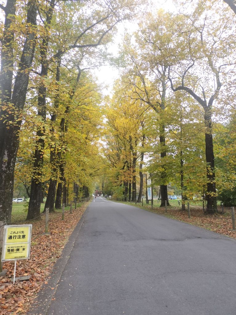 img202511051214415704568925426695234