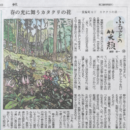 カタクリの里